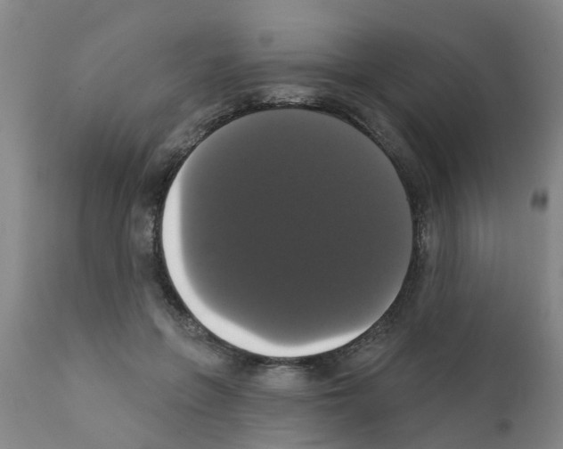 X0000111520551200908251140