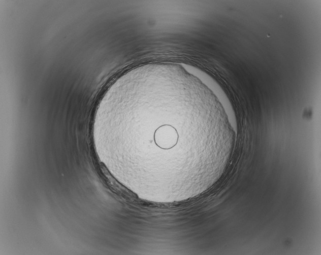 X0000111520552200908251140
