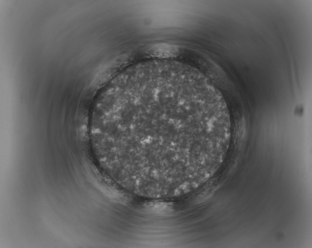 X0000111520553200908251140