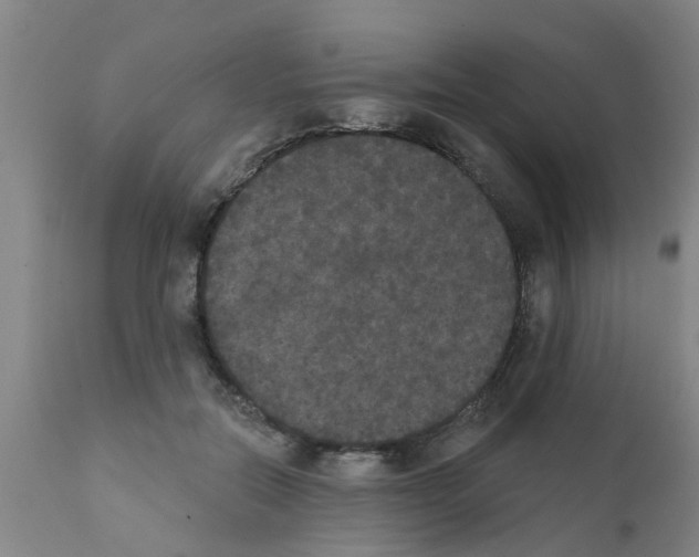 X0000111520554200908251140