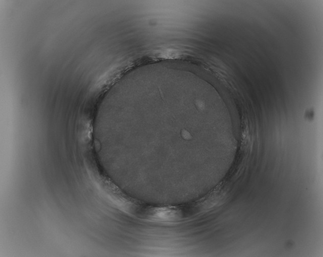 X0000111520555200908251140