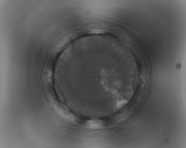 X0000111520556200908251140