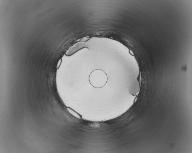 X0000111520558200908251140
