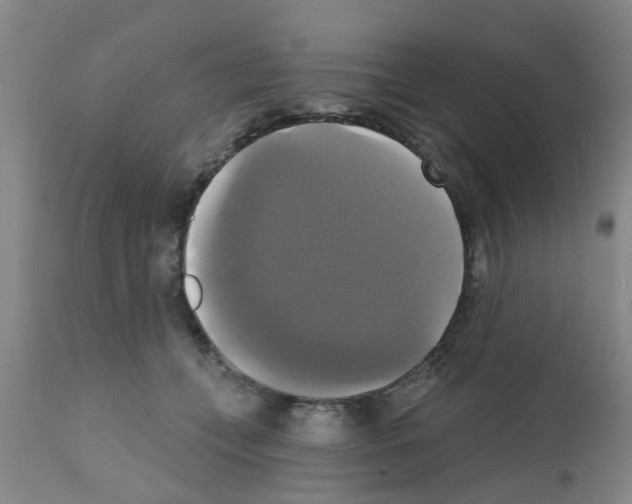 X0000111520559200908251140