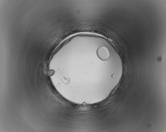 X0000111520560200908251140