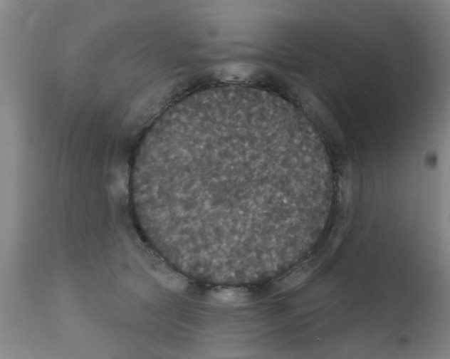 X0000111520561200908251140