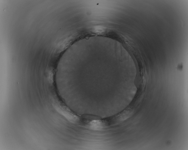 X0000111520562200908251140