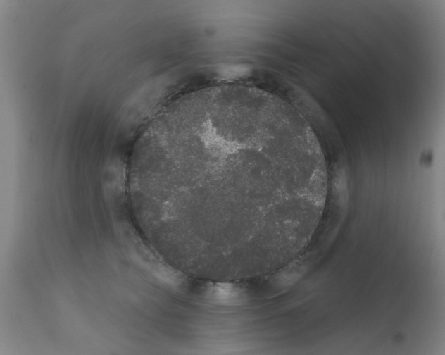 X0000111520565200908251140