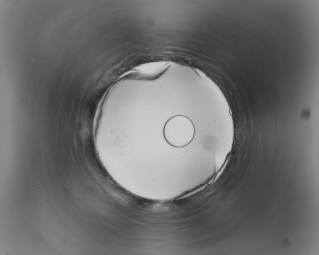 X0000111520566200908251140