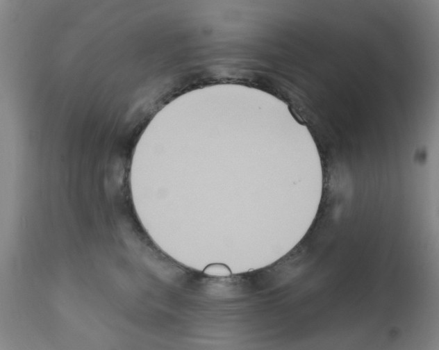 X0000111520567200908251140
