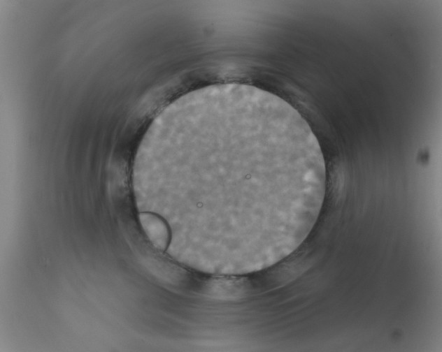 X0000111520571200908251140