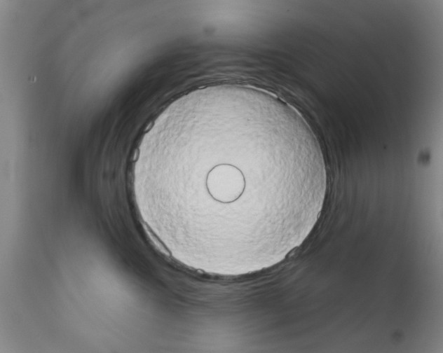 X0000111520572200908251140