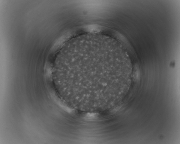 X0000111520573200908251140