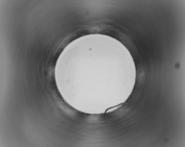 X0000111520574200908251140