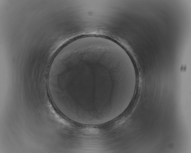 X0000111520577200908251139