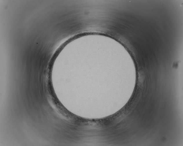 X0000111520580200908251139