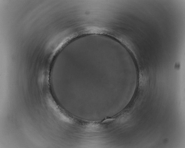 X0000111520581200908251139
