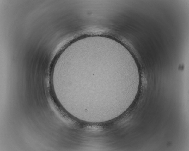 X0000111520582200908251139
