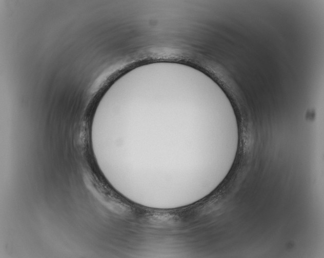 X0000111520583200908251139