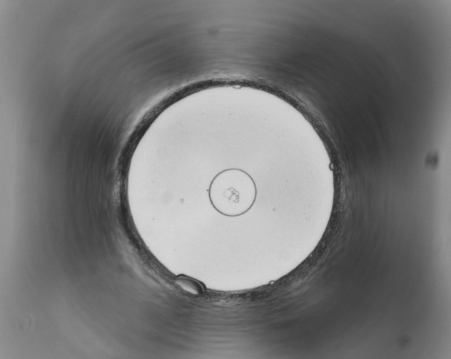 X0000111520584200908251139