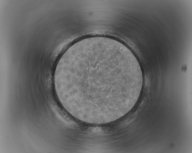 X0000111520588200908251139