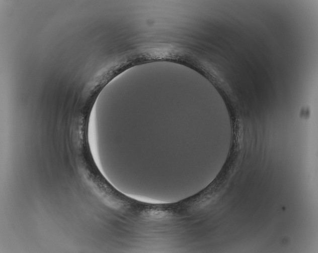X0000111520590200908251139