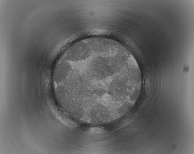 X0000111520591200908251139