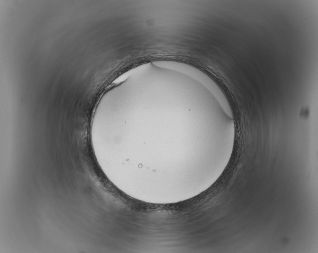 X0000111520593200908251139