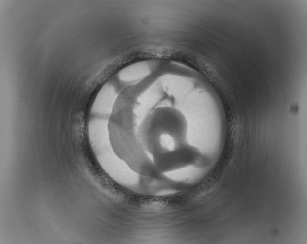 X0000111520594200908251139
