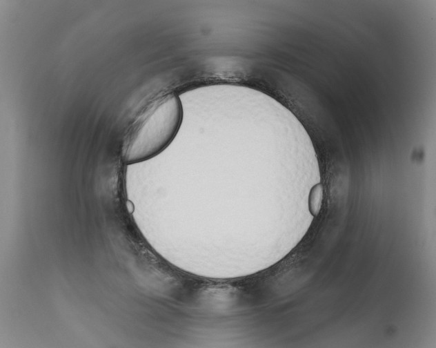 X0000111520595200908251139