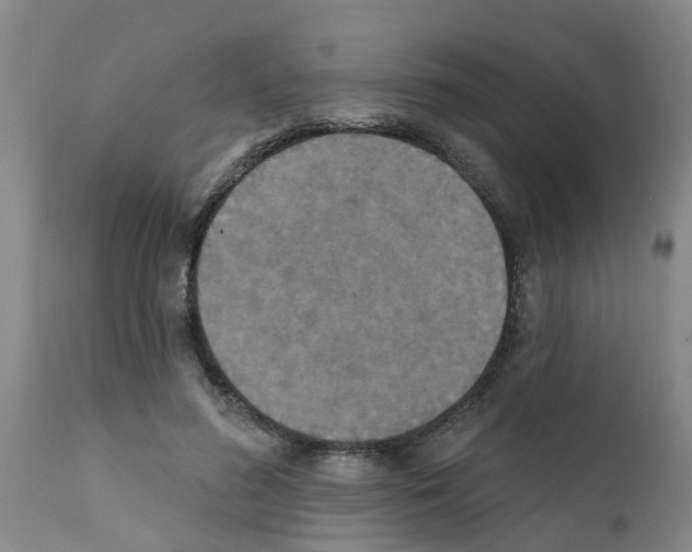 X0000111520596200908251139