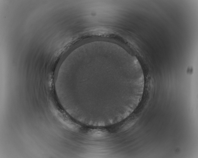 X0000111520597200908251139