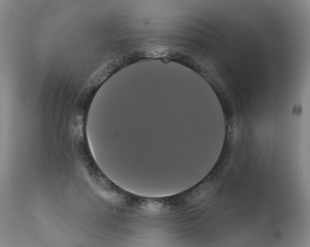 X0000111520598200908251139