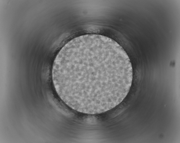 X0000111520600200908251139
