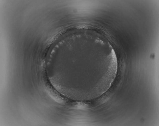 X0000111520601200908251139