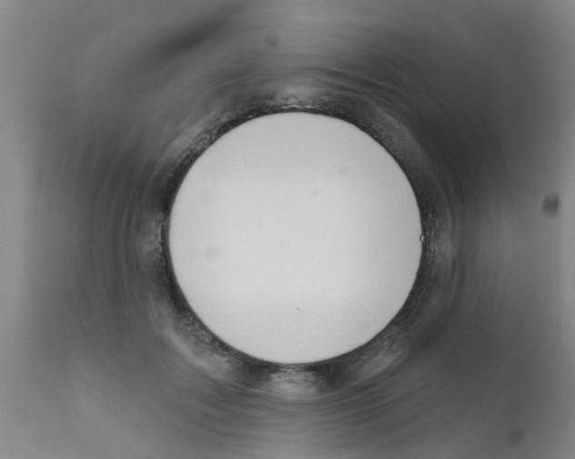 X0000111520603200908251139