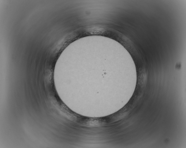 X0000111520604200908251139