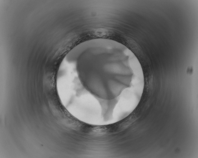 X0000111520606200908251139