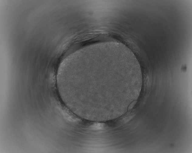 X0000111520609200908251139