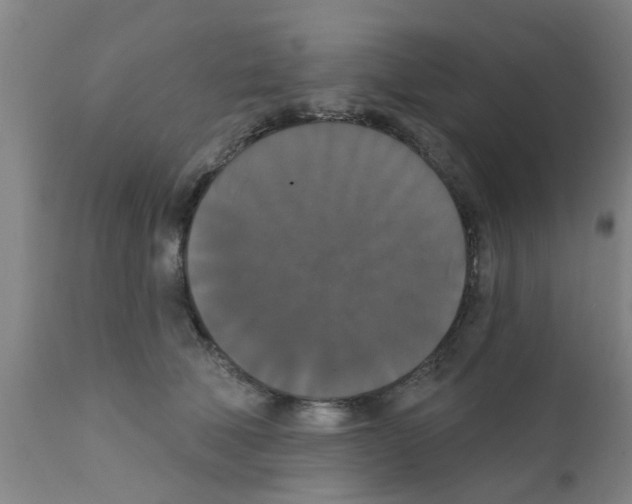 X0000111520610200908251139