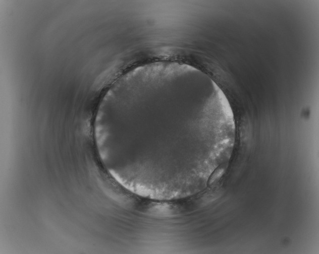 X0000111520611200908251139