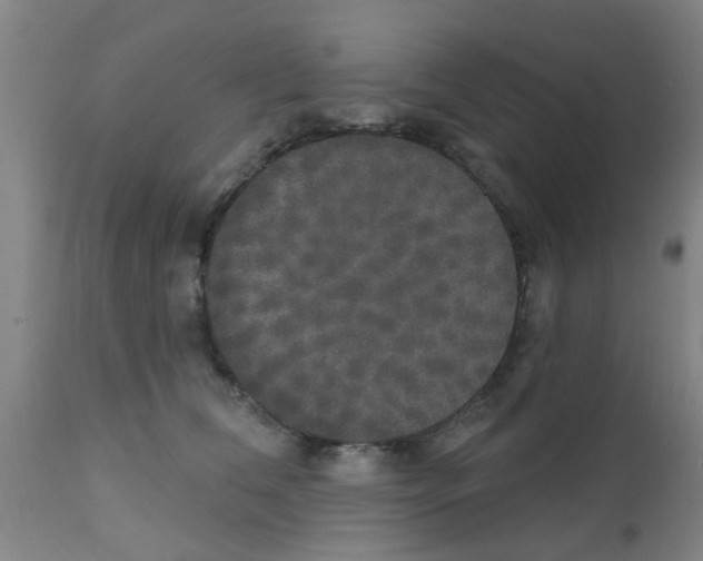 X0000111520612200908251139