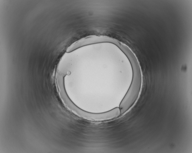 X0000111520613200908251139