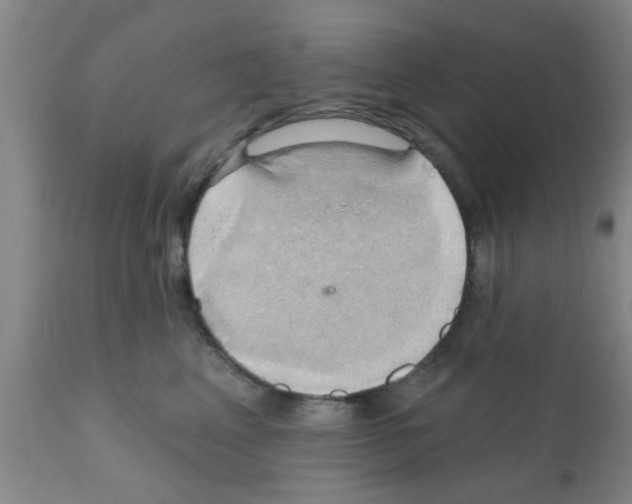 X0000111520617200908251139