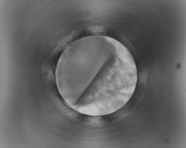 X0000111520618200908251139