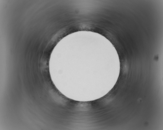 X0000111520619200908251139