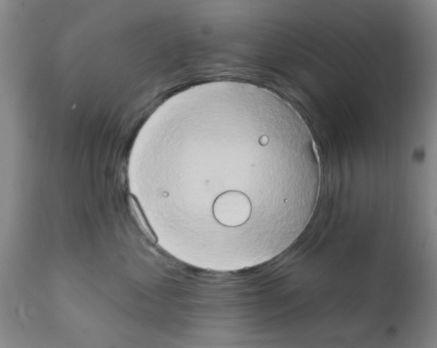 X0000111520621200908251139
