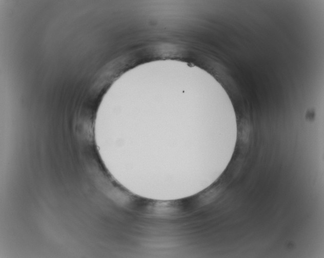 X0000111520622200908251138