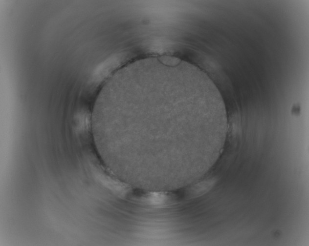 X0000111520623200908251138