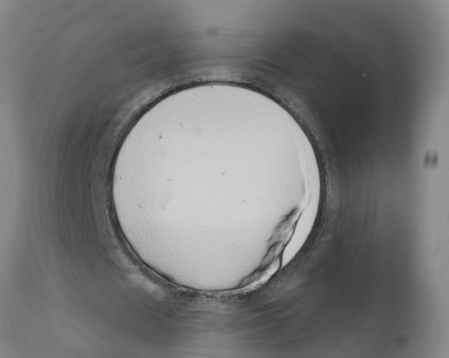 X0000111520625200908251138